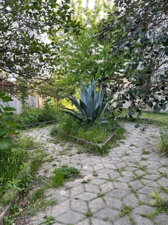 Hotel G I O Samtredia Dış mekan fotoğraf