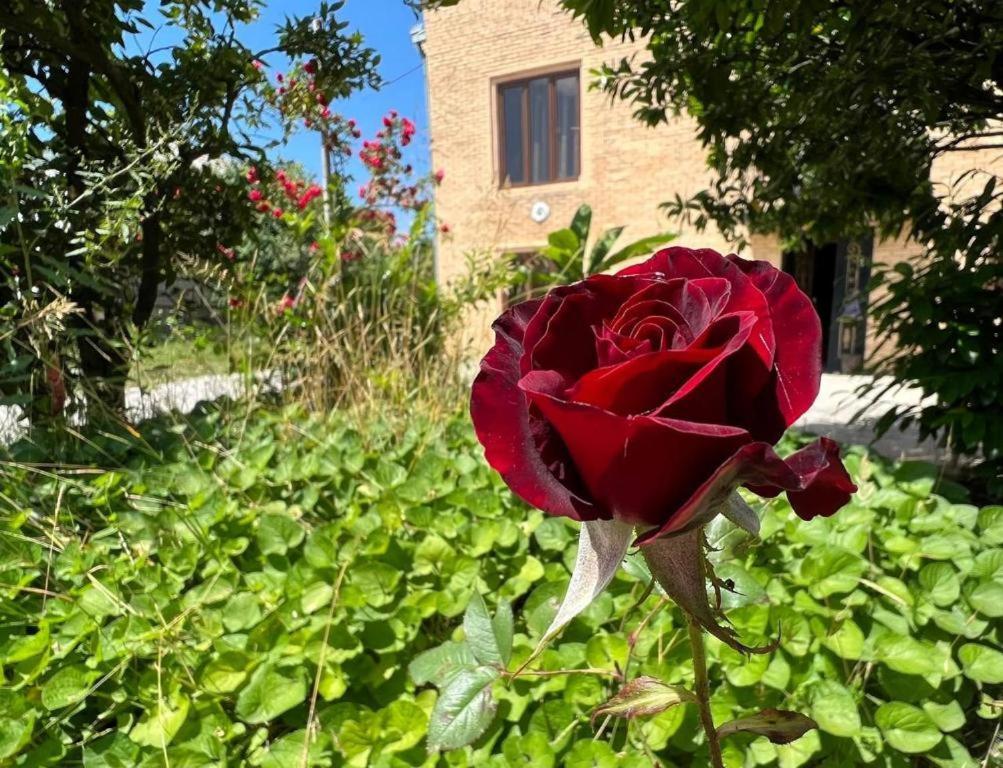 Hotel G I O Samtredia Dış mekan fotoğraf