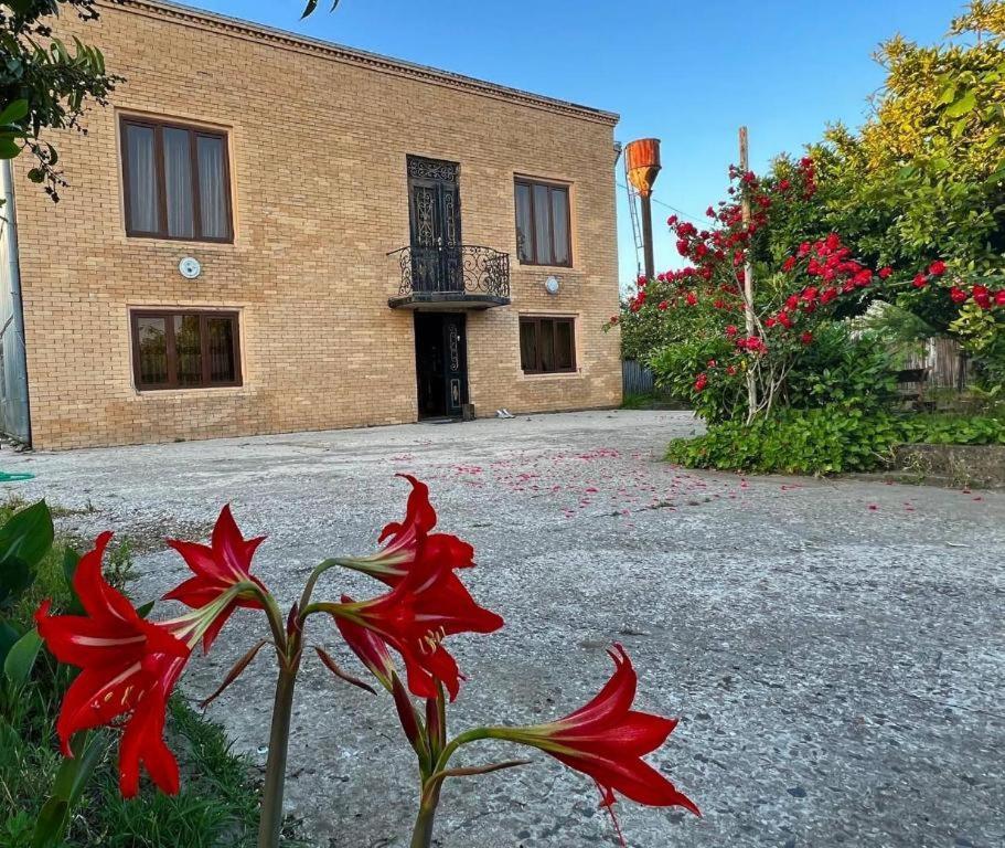 Hotel G I O Samtredia Dış mekan fotoğraf