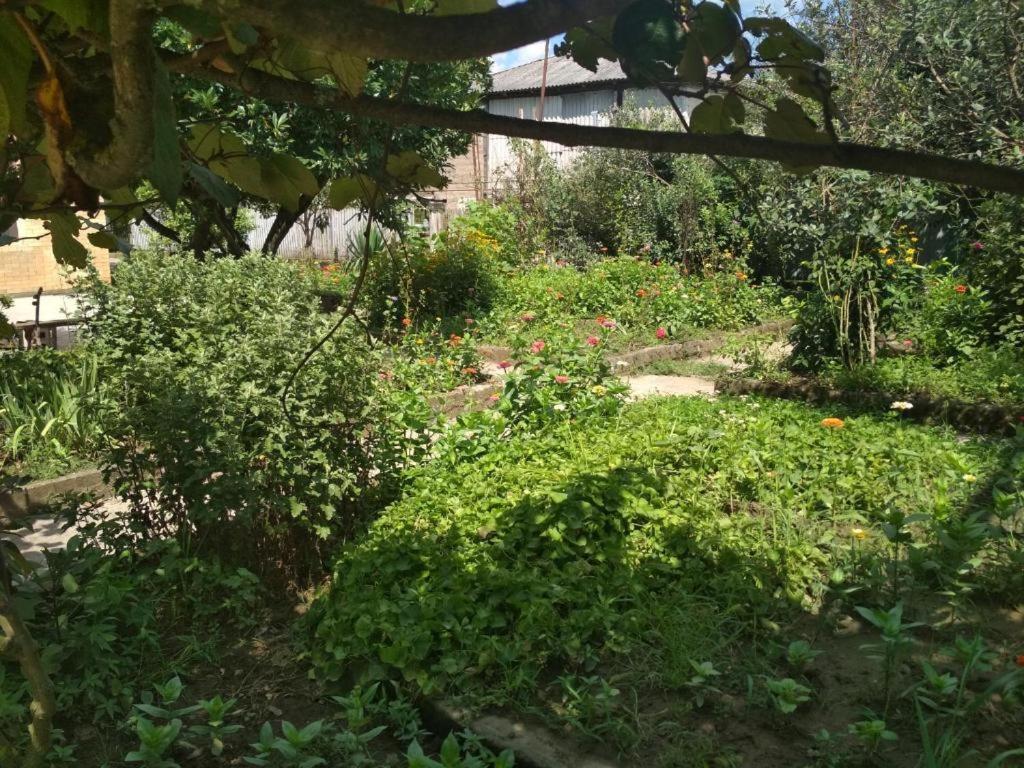 Hotel G I O Samtredia Dış mekan fotoğraf